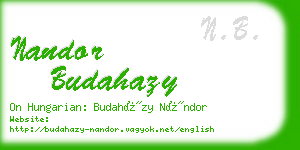 nandor budahazy business card